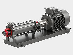 Speck regenerative turbine pumps – Close-coupled pumps with EC motor